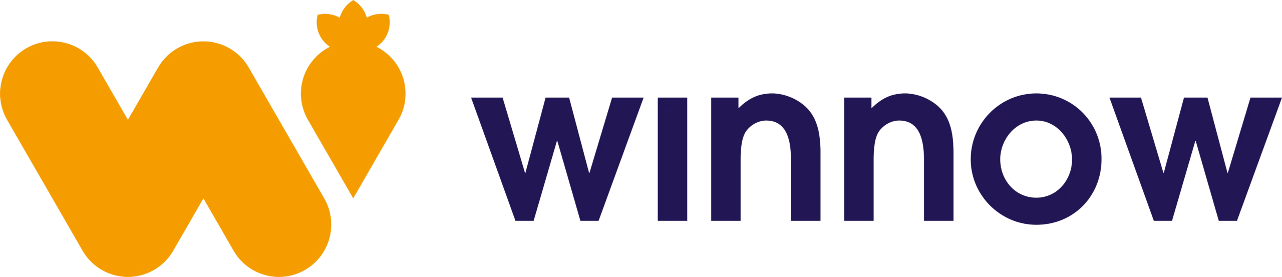 Winnow Solutions Logo